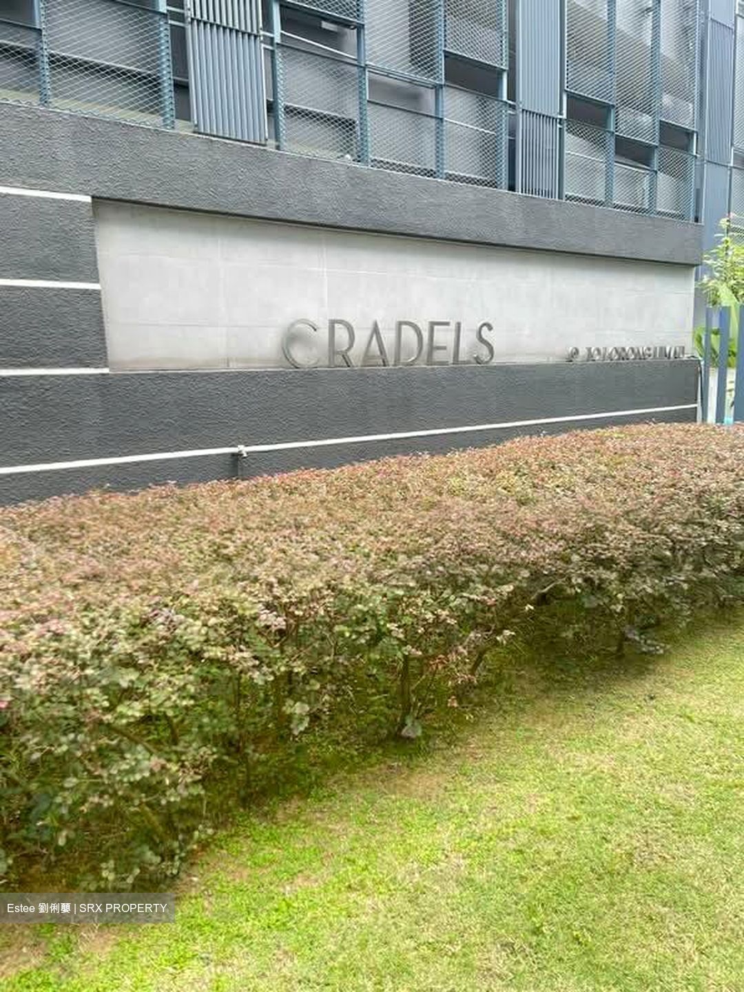 Cradels (D12), Apartment #543500921